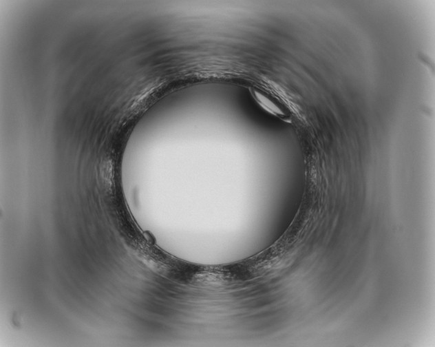 X0000096430211200802071733