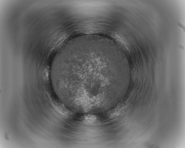 X0000096430214200802071733