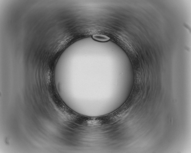 X0000096430216200802071733