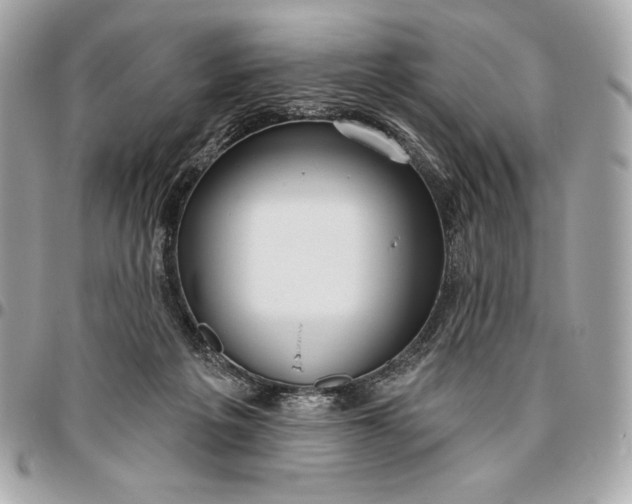 X0000096430217200802071733