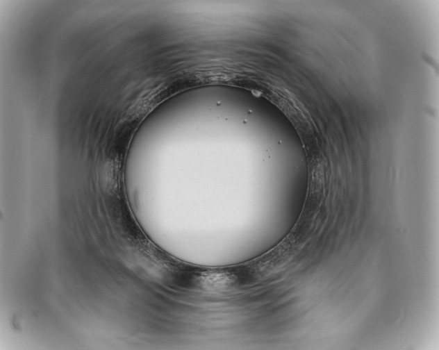 X0000096430218200802071733