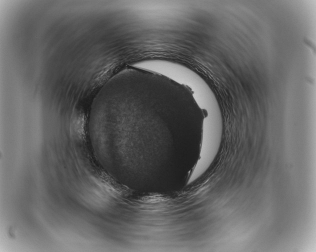 X0000096430219200802071733