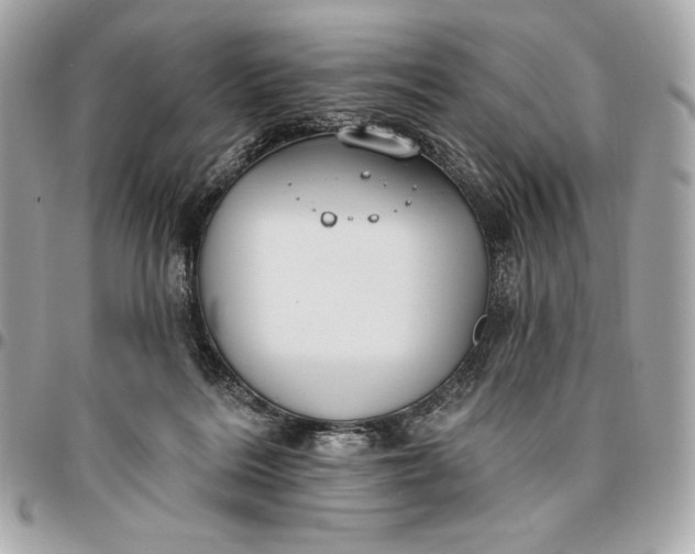 X0000096430220200802071733