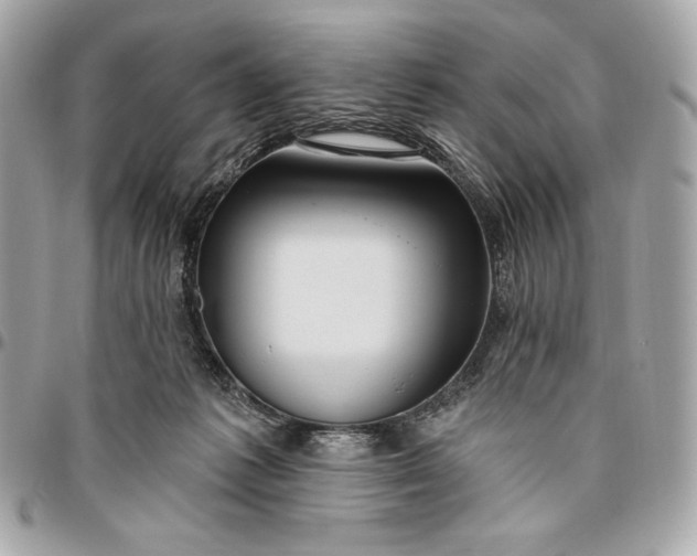 X0000096430221200802071733
