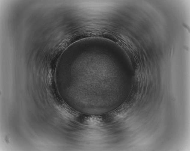 X0000096430223200802071733
