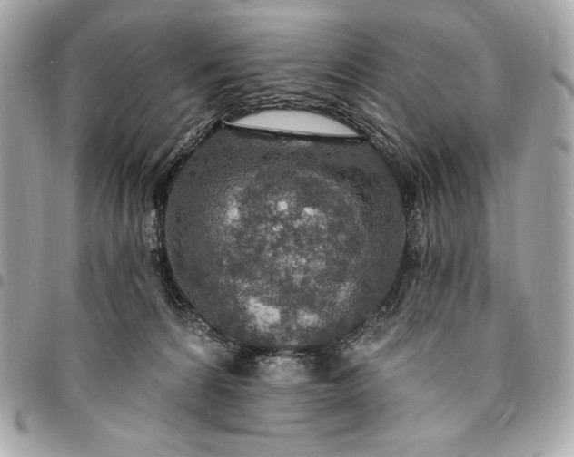 X0000096430224200802071733