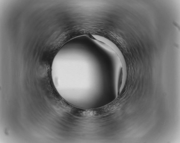 X0000096430225200802071733