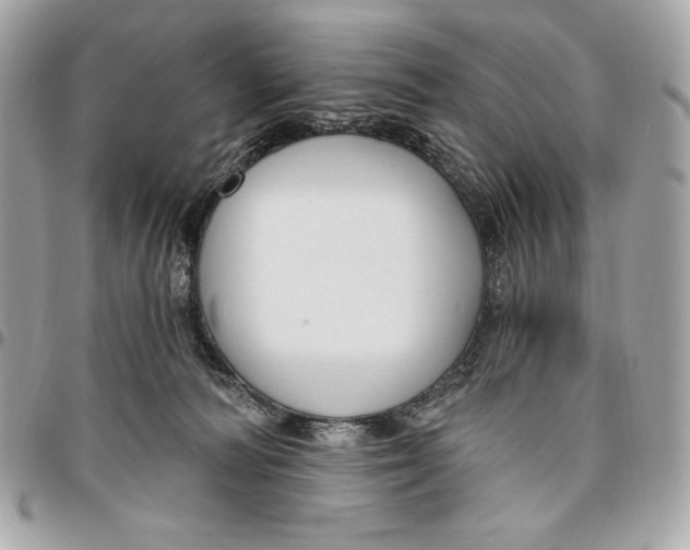 X0000096430226200802071733