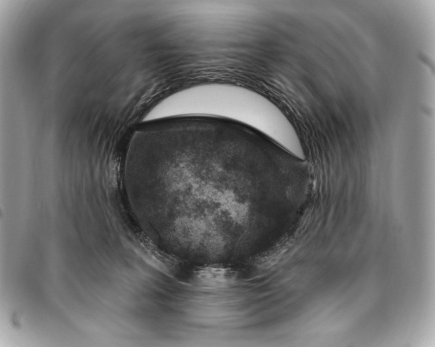 X0000096430227200802071733