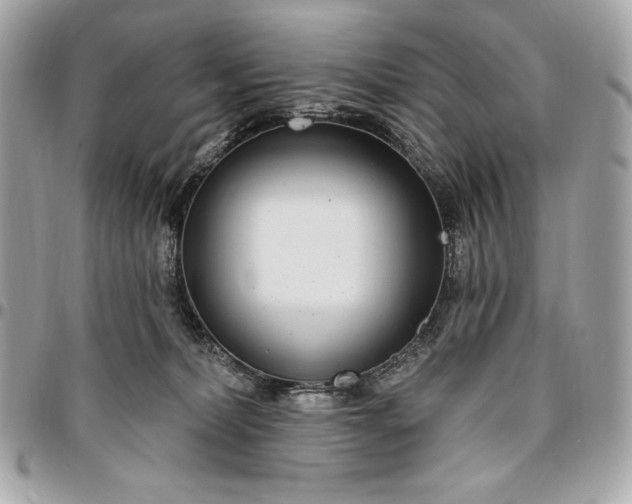 X0000096430228200802071733