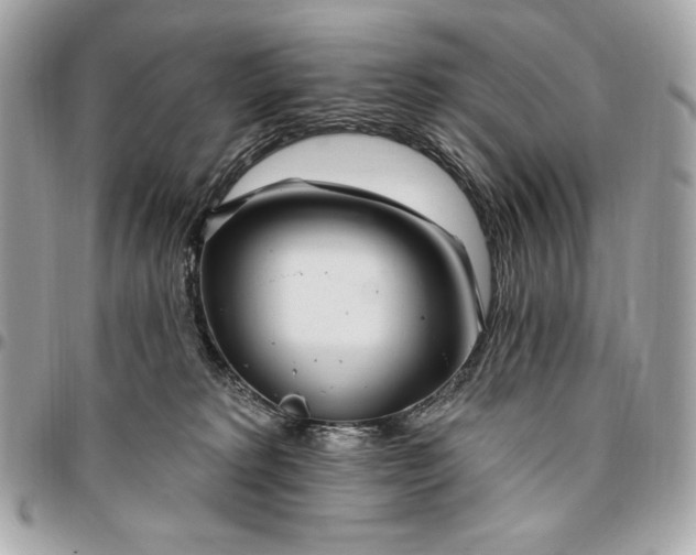 X0000096430229200802071732