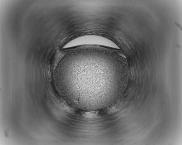 X0000096430232200802071732