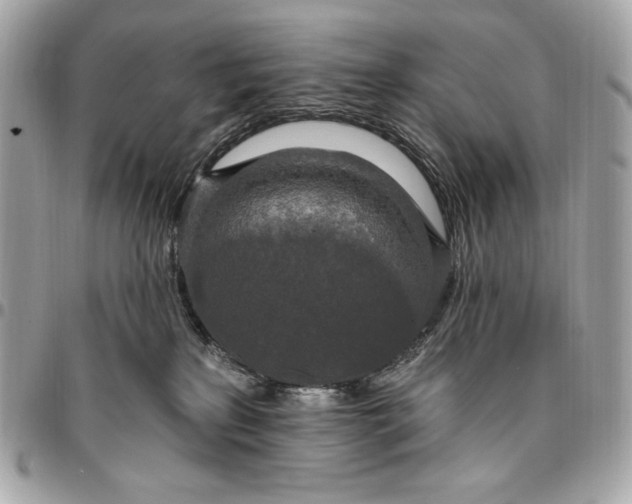 X0000096430233200802071732