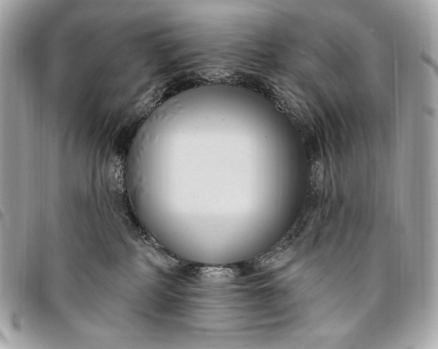 X0000096430234200802071732