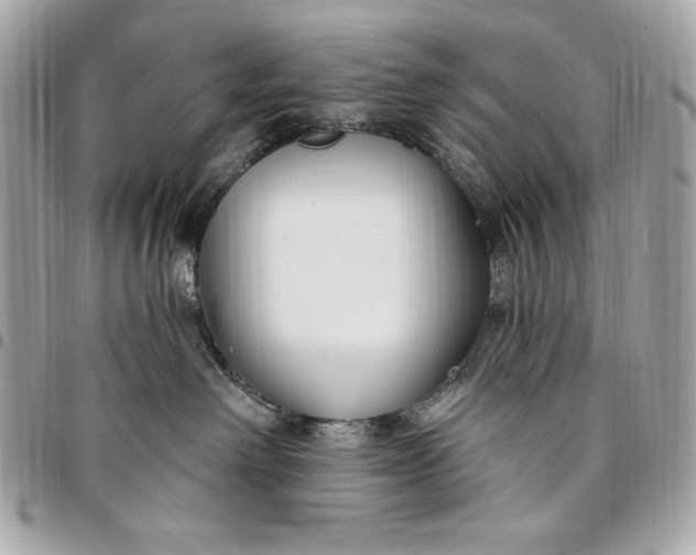 X0000096430238200802071732