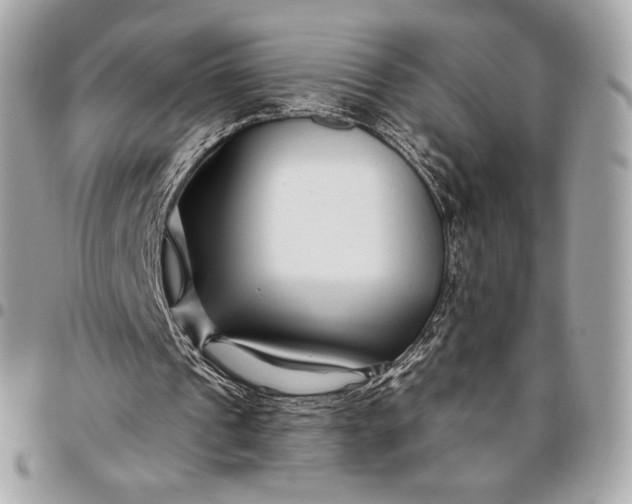X0000096430241200802071732
