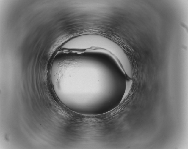 X0000096430242200802071732