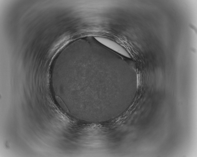 X0000096430243200802071732