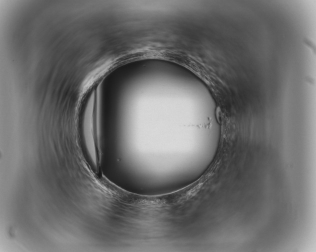 X0000096430245200802071732