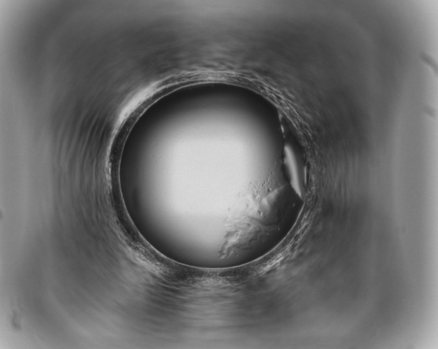 X0000096430246200802071732