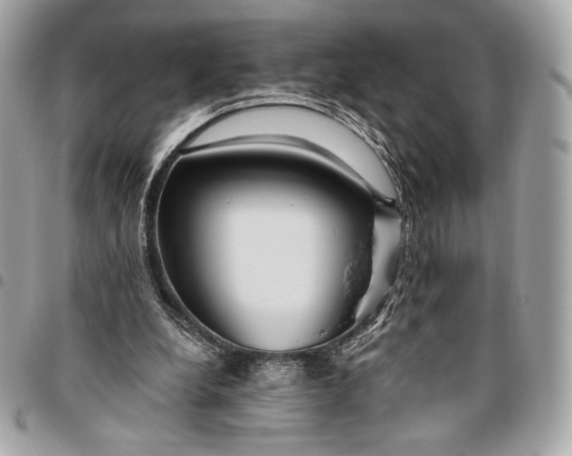 X0000096430248200802071732
