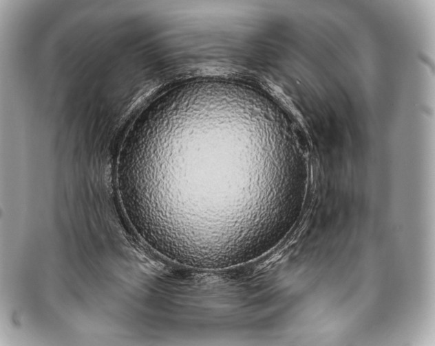 X0000096430249200802071732