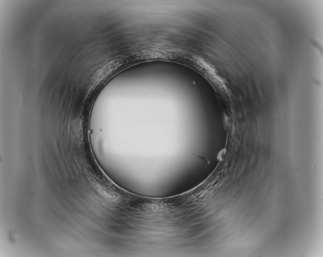 X0000096430250200802071732