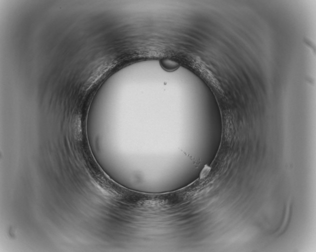 X0000096430251200802071732