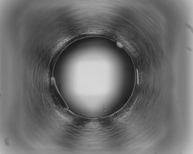 X0000096430252200802071732