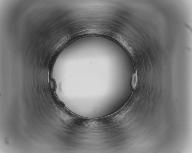 X0000096430253200802071732