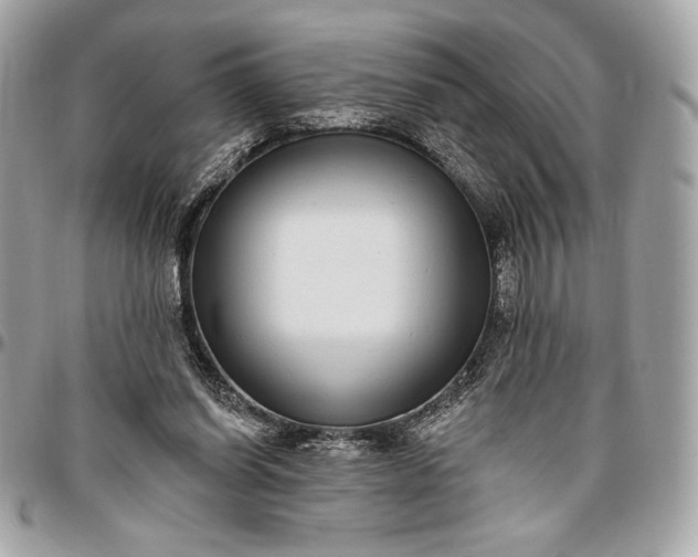 X0000096430254200802071732