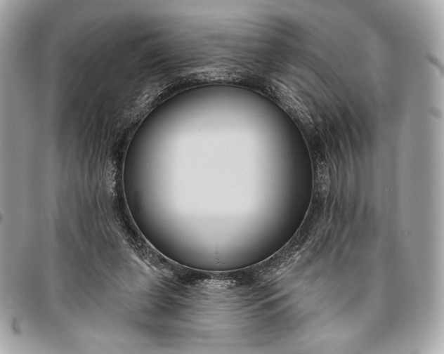 X0000096430255200802071732