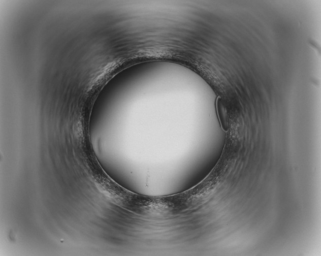 X0000096430256200802071732