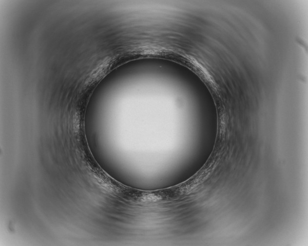 X0000096430257200802071732