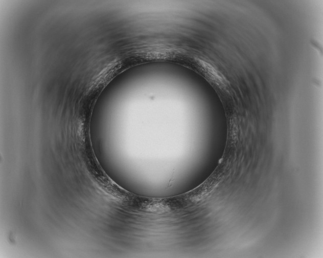 X0000096430258200802071732