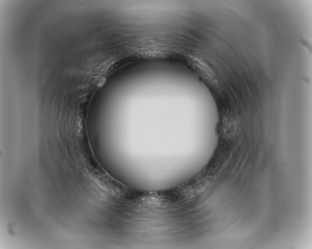 X0000096430259200802071732