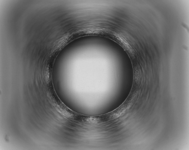 X0000096430261200802071732