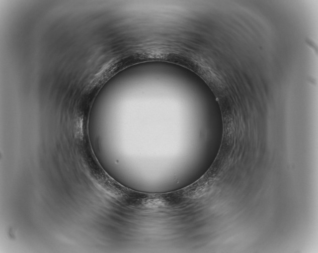 X0000096430262200802071732