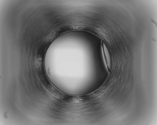 X0000096430263200802071732