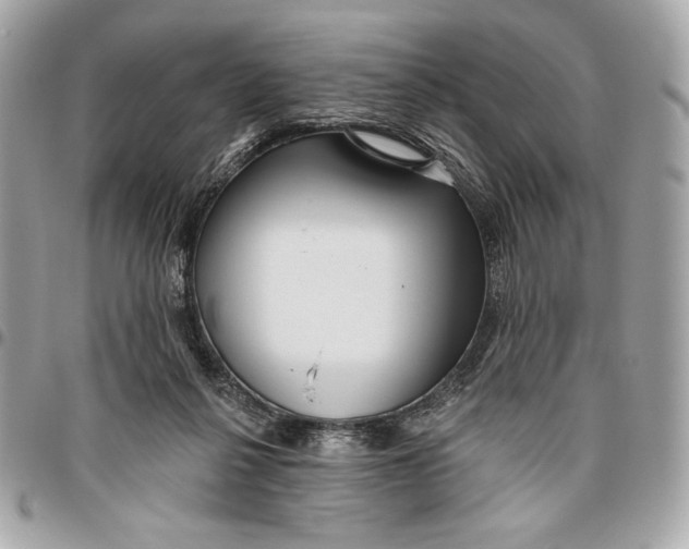 X0000096430264200802071732