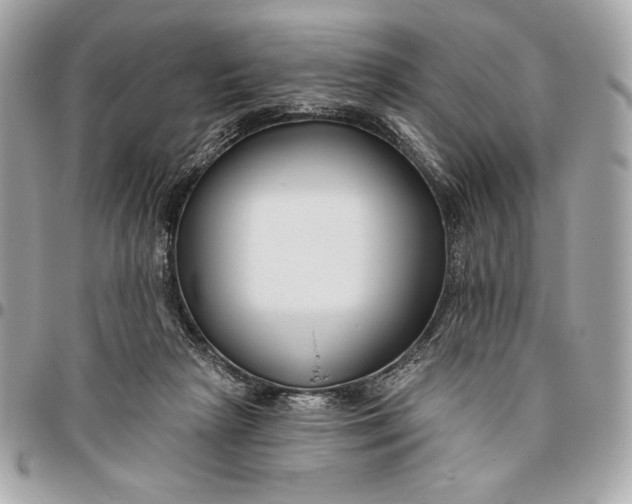 X0000096430265200802071732