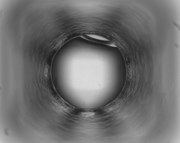 X0000096430266200802071732