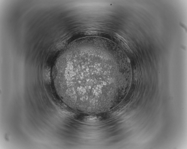 X0000096430267200802071732