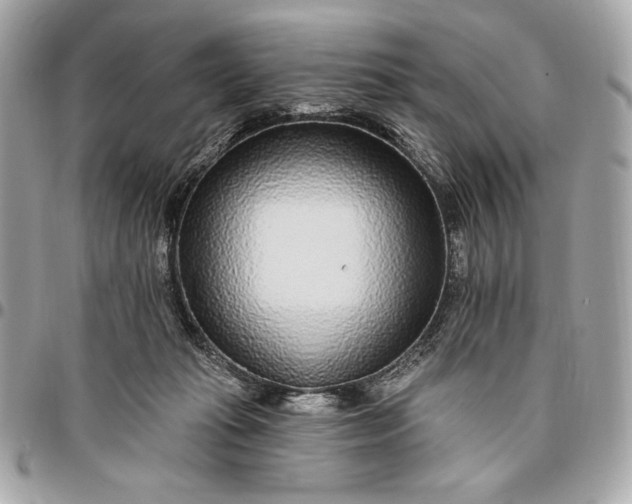 X0000096430269200802071732