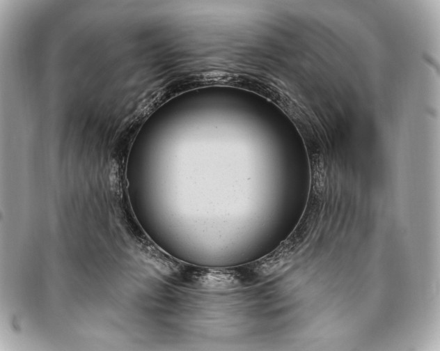 X0000096430270200802071732