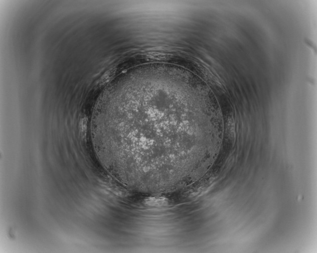 X0000096430271200802071732