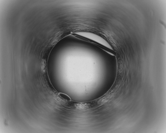 X0000096430273200802071732