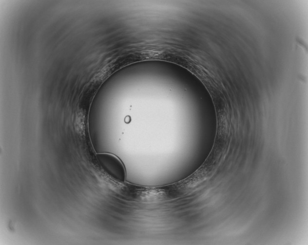 X0000096430274200802071732