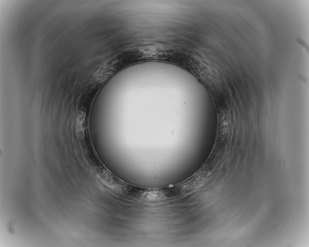 X0000096430275200802071732