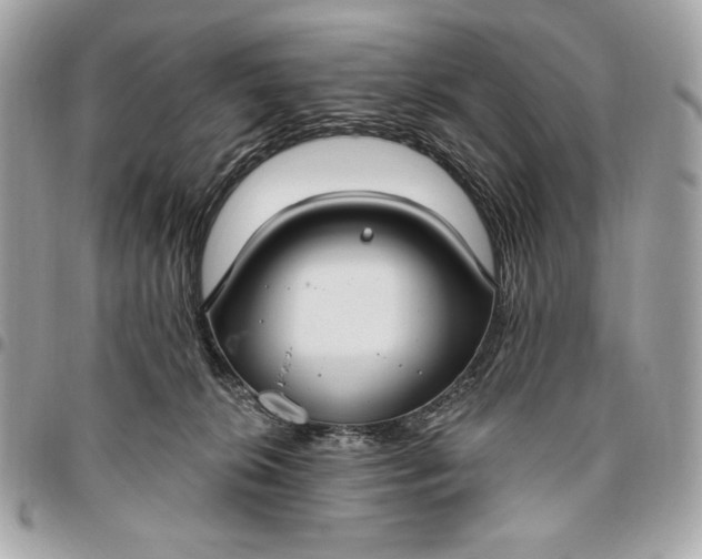 X0000096430276200802071732